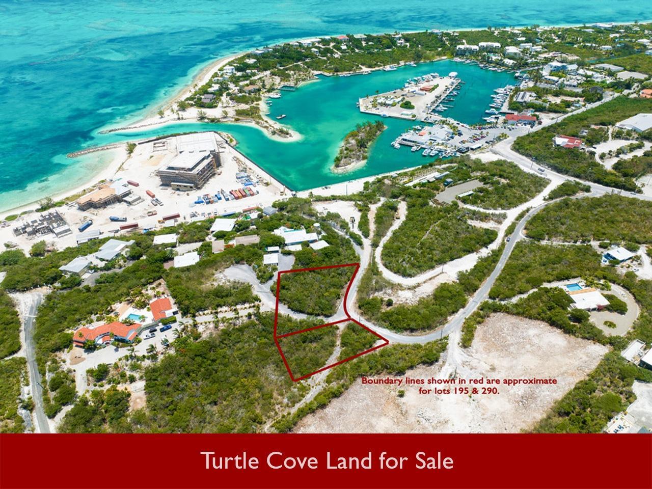 Turtle Cove lots for sale — photo 3