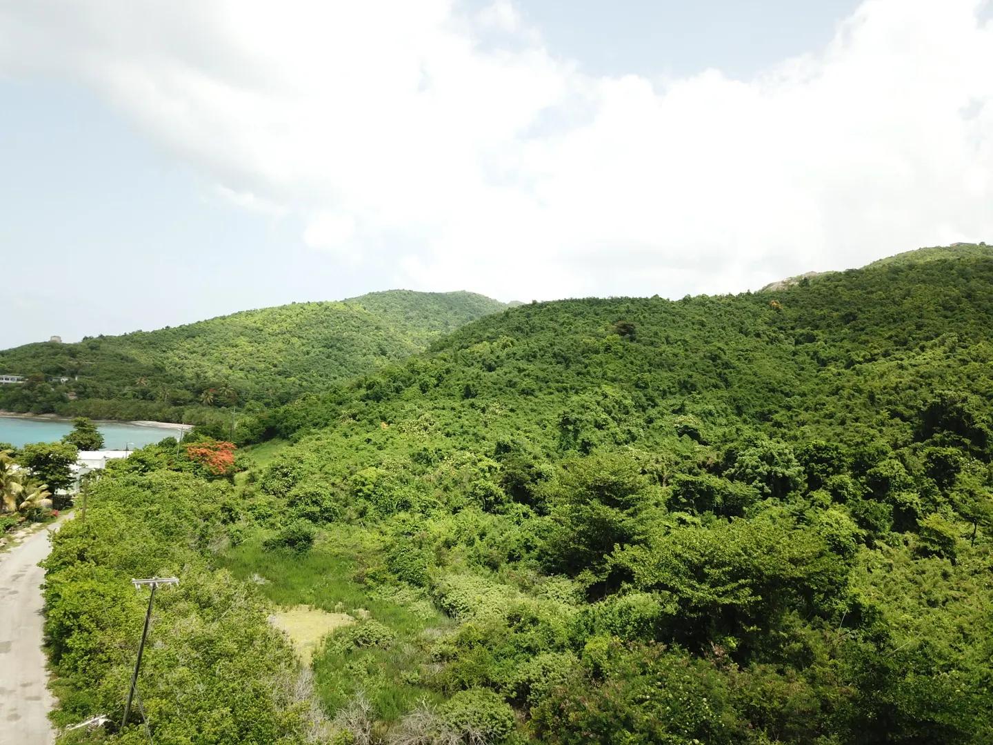 39 Acre Lot with Sea Views and Beach Access in St. Croix — photo 4