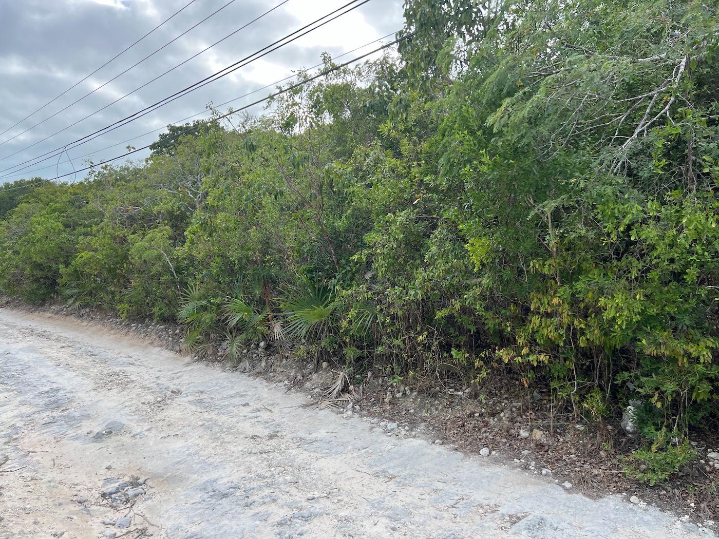 Vacant Land for sale - Lot 17293, Bahama Sound 18 — photo 3
