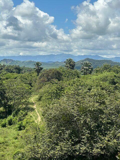 Development Lot for Sale in Puerto Blanco, Luperón — photo 5