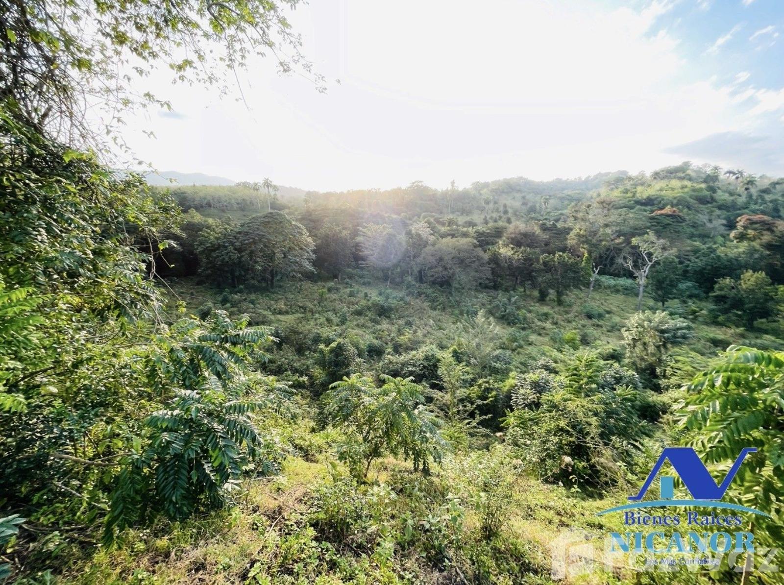 Cattle ranch of 1,150 tareas for sale in Guananico pop. — photo 2