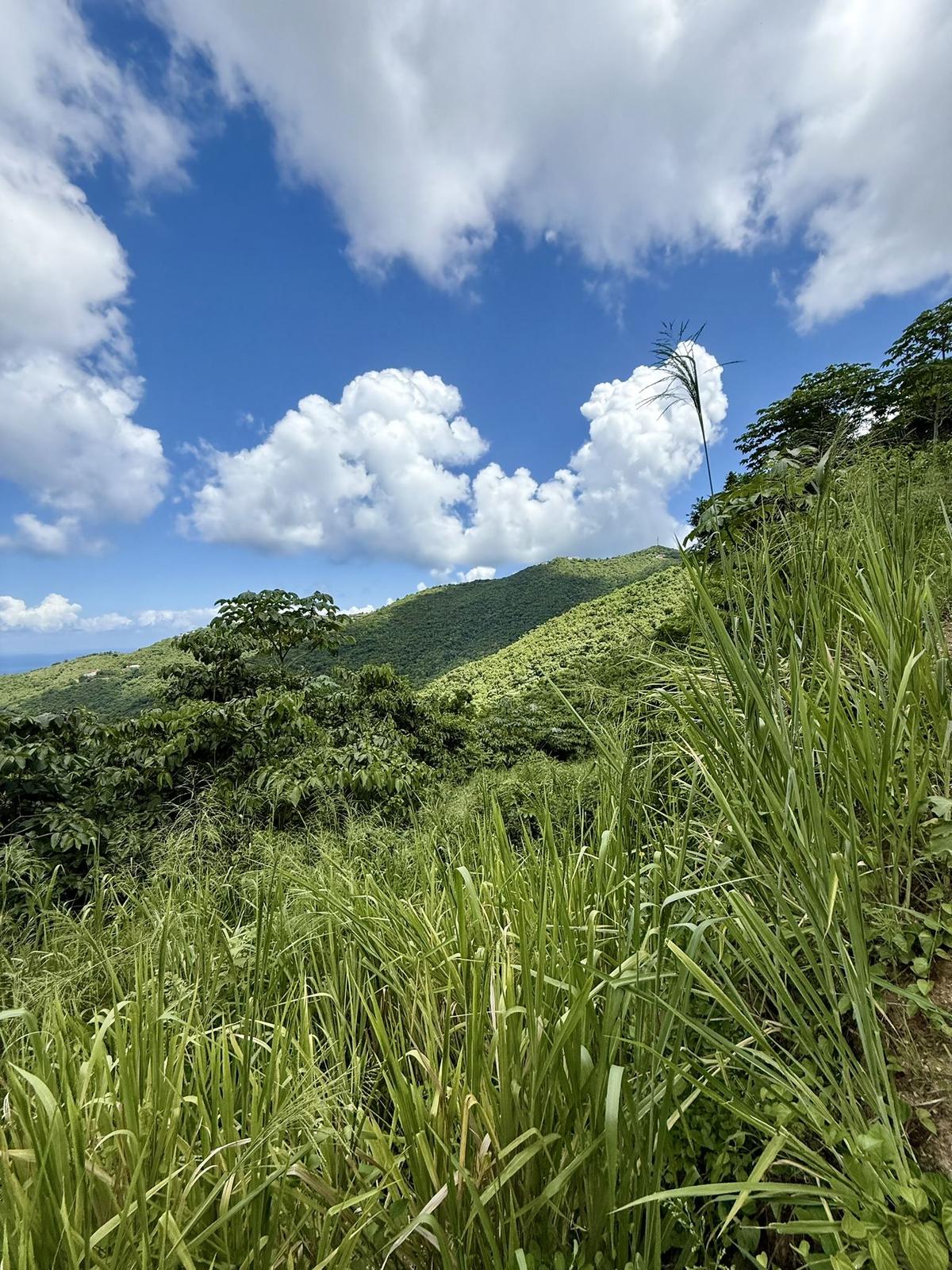 0.85 Acres & 1.49 Acres Lot - Soldiers Hill, Tortola — photo 4