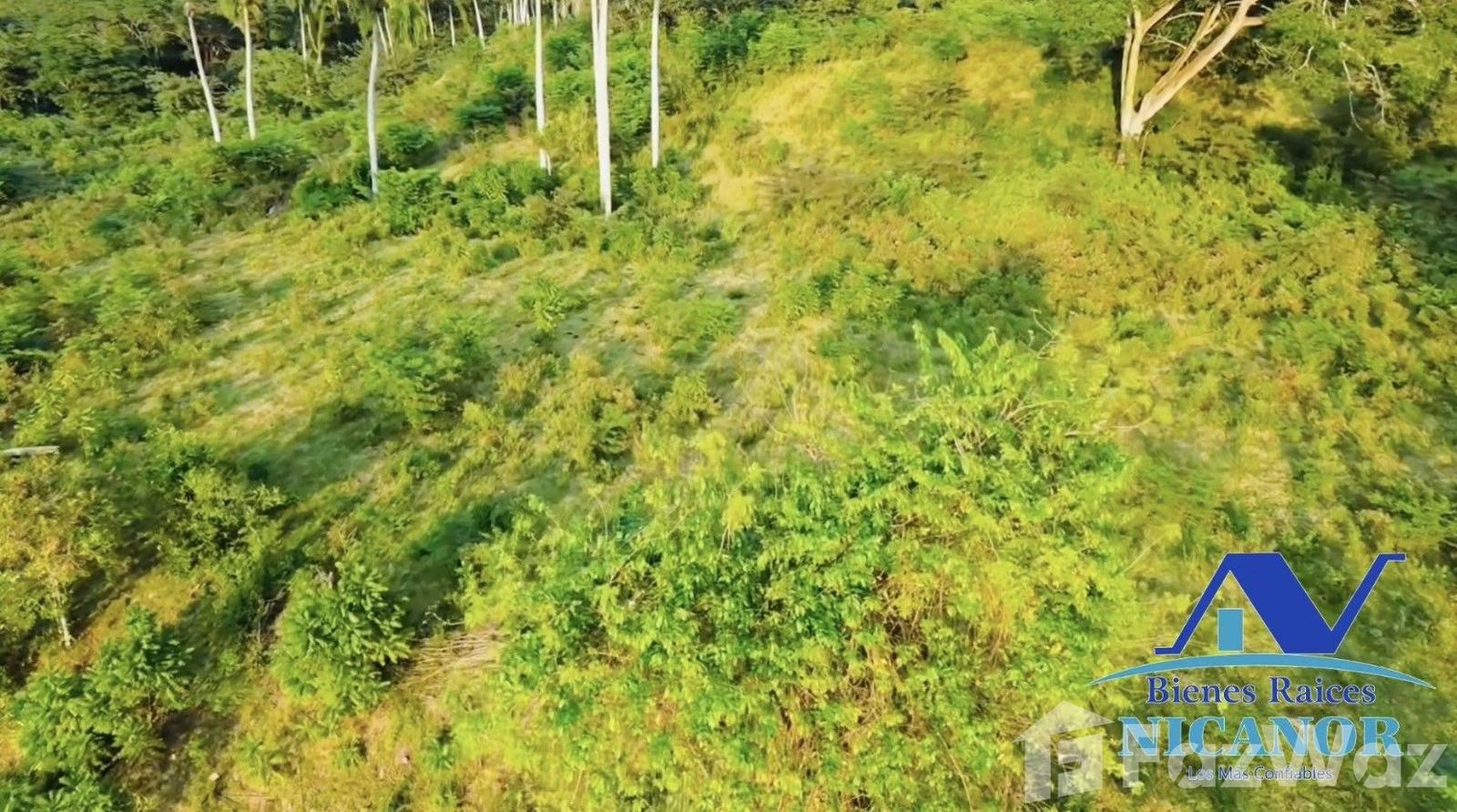 Cattle ranch of 1,150 tareas for sale in Guananico pop. — photo 5