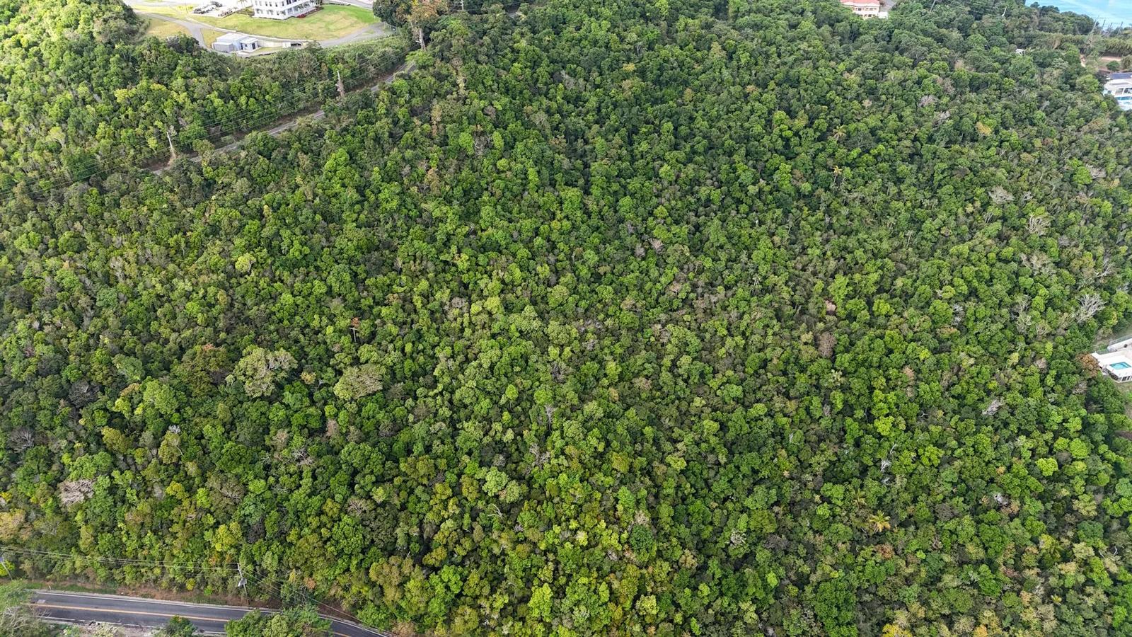 2ba & 2bb Crown & Hawk Ss Homesite — photo 5