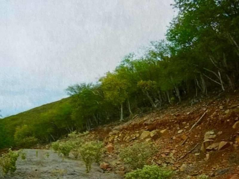 Full Acre Lot Jost Van Dyke — photo 3