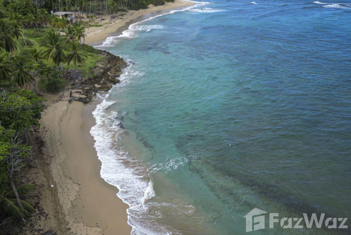 123 Acres of Prime Oceanfront Development Land CABARETE — photo 5