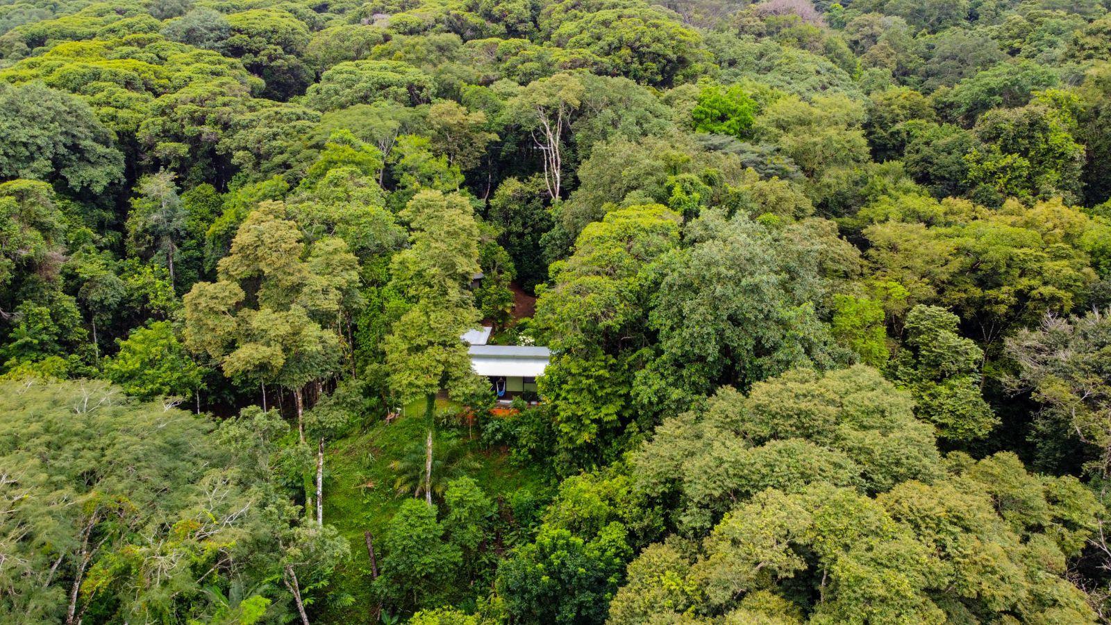 11-Acre Multi-Unit Jungle Property for Sale, Lagunas, Dominical, Puntarenas, Costa Rica — photo 3