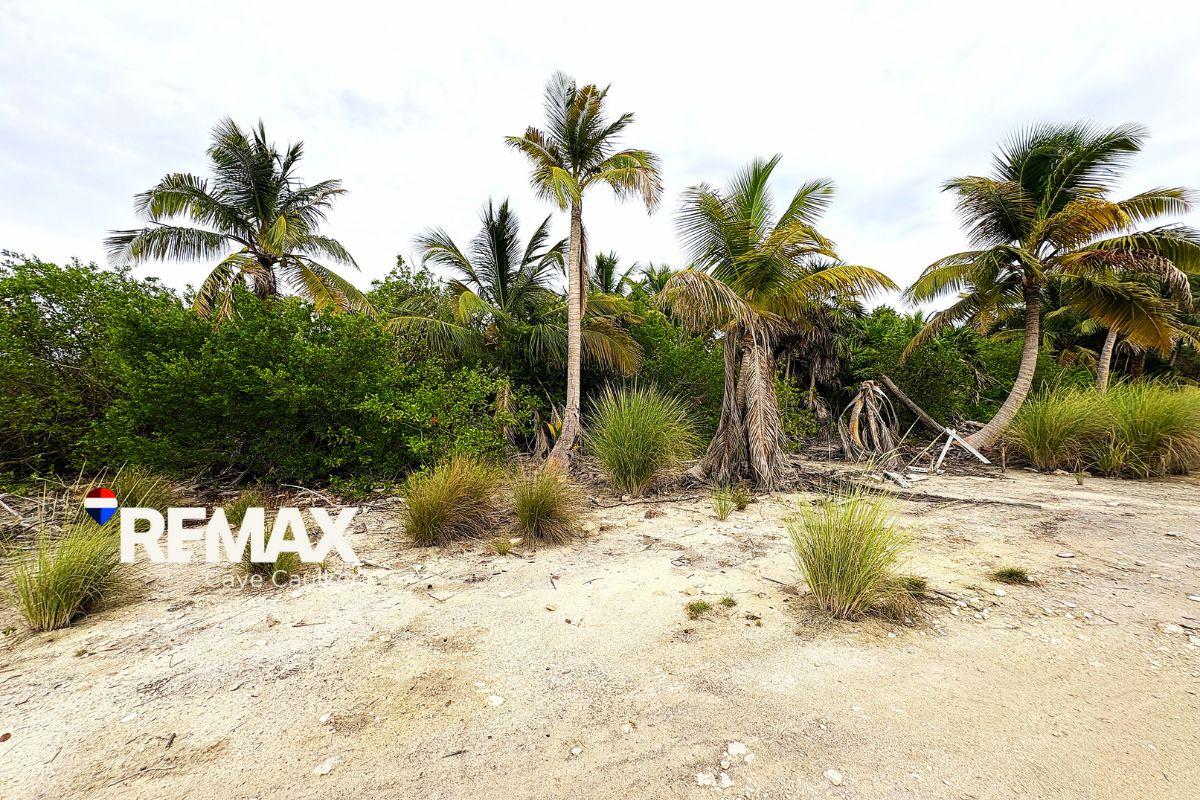 OCEANVIEW LOT NEAR BLISS BEACH — photo 4