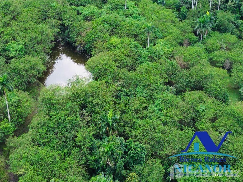 Cattle farm for sale in Imbert, Puerto Plata — photo 2