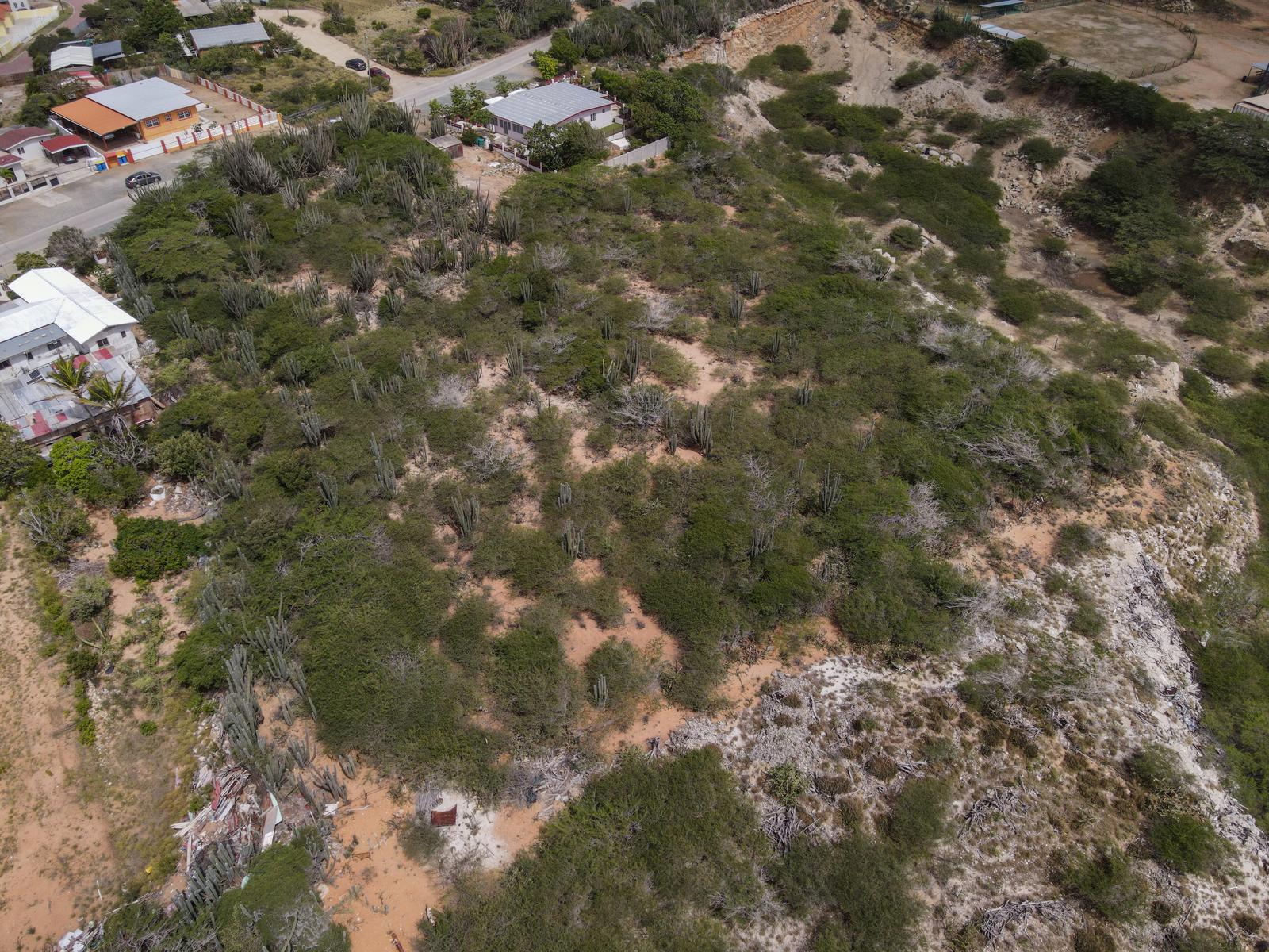 Coba Lodo Land — photo 4