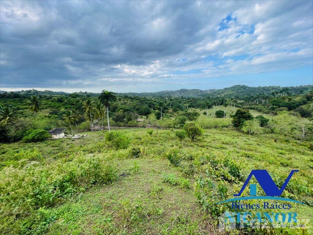 Cattle farm for sale in Imbert, Puerto Plata — photo 1
