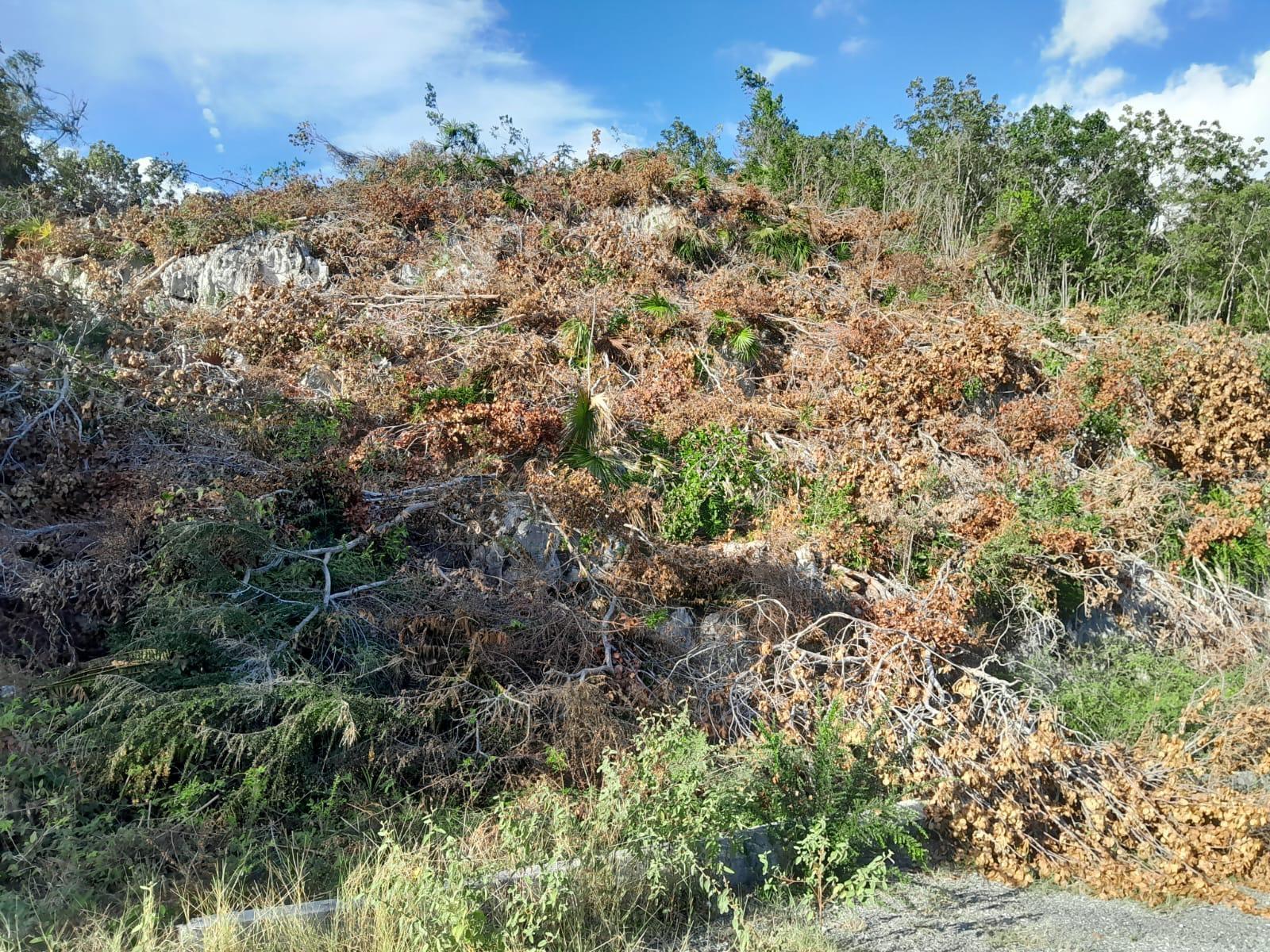 ST JAGO HILLS St. Catherine Spanish Town — photo 2