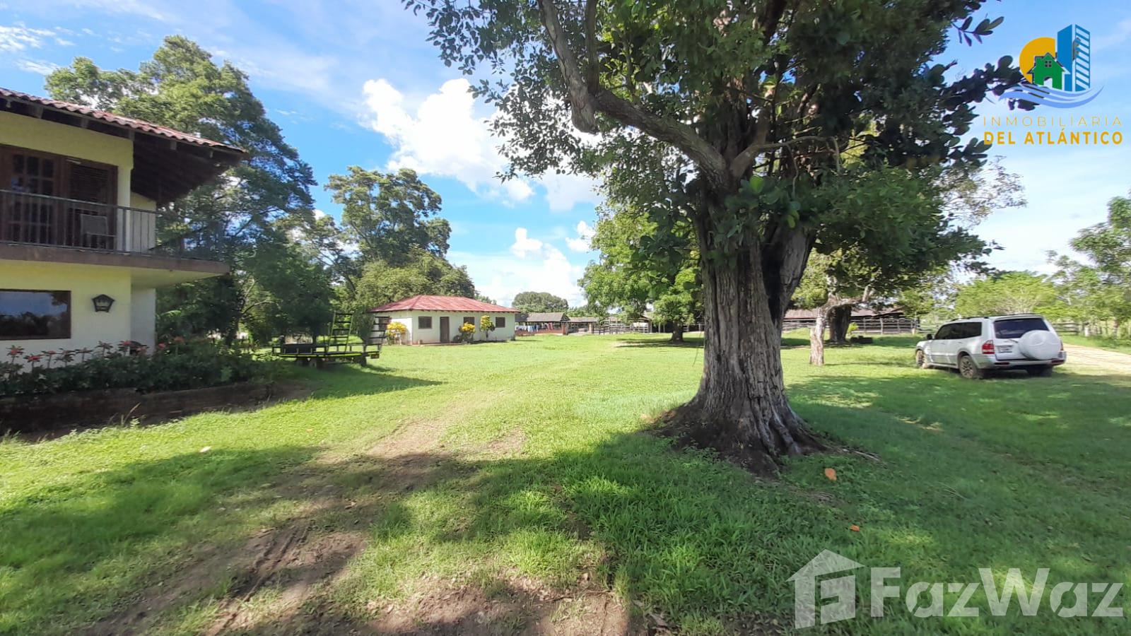 Farm for sale in Hato Mayor DR — photo 3