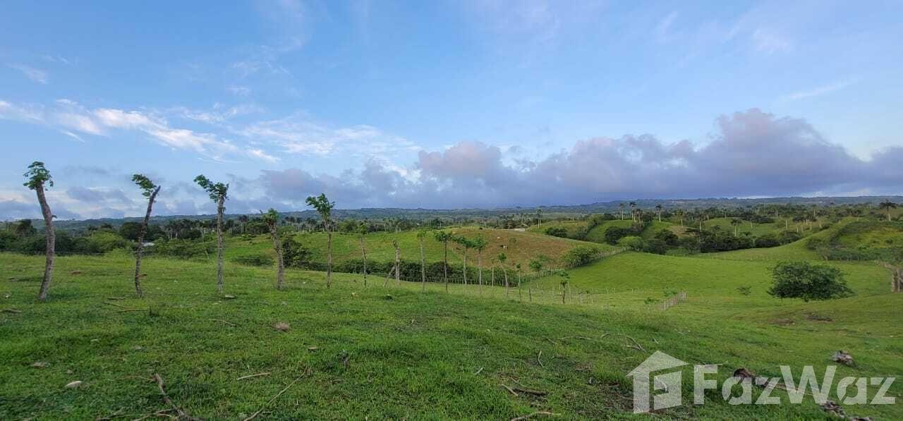 Land for Sale in Cabrera, Dominican Republic — photo 2