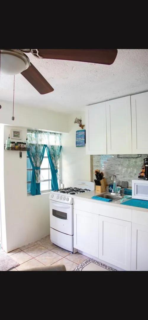 1 Bed 1 Bath Apartment in West End — photo 4
