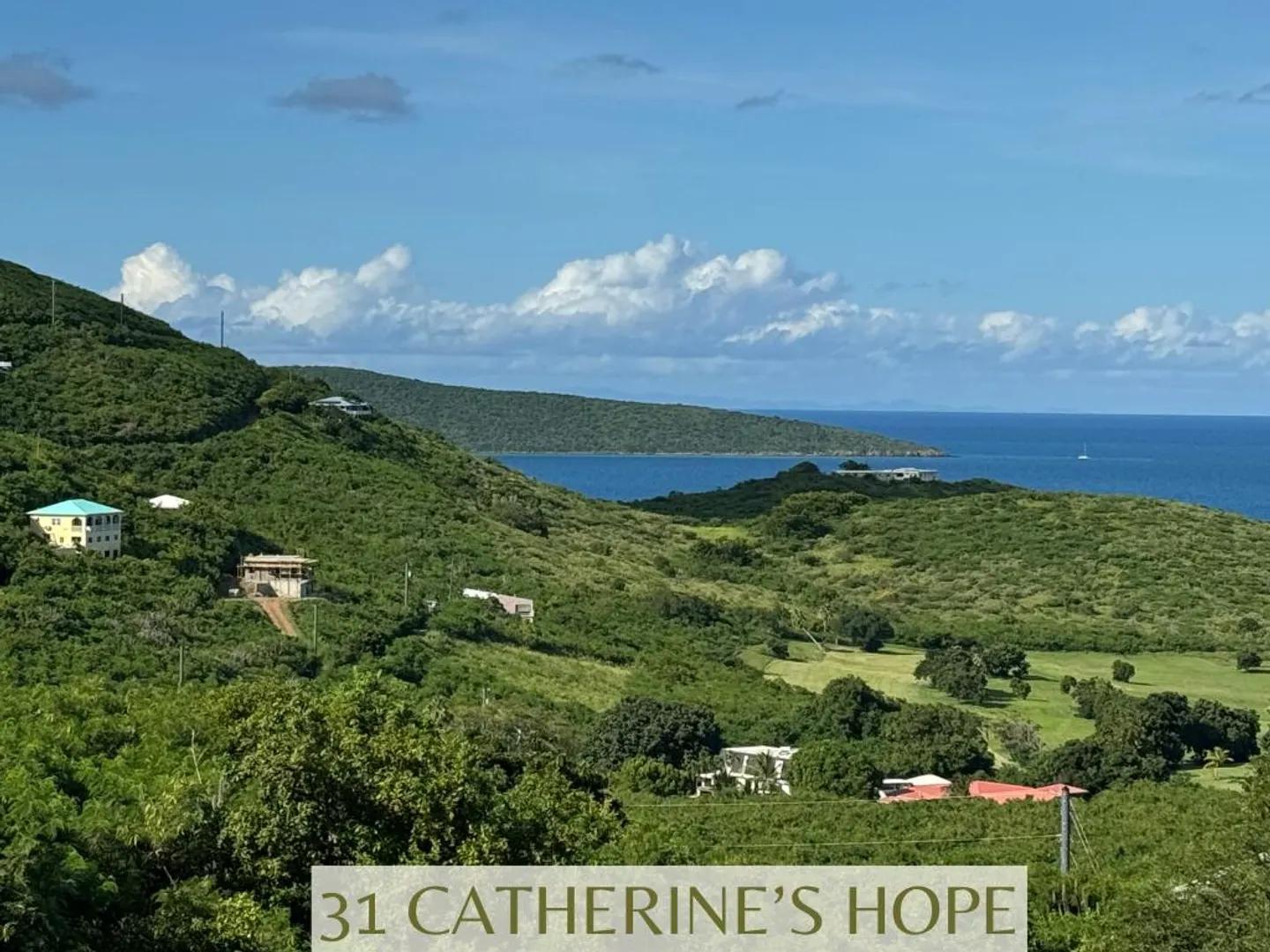 0.32 Acre Homesite Lot in St. Croix, US Virgin Islands — photo 2