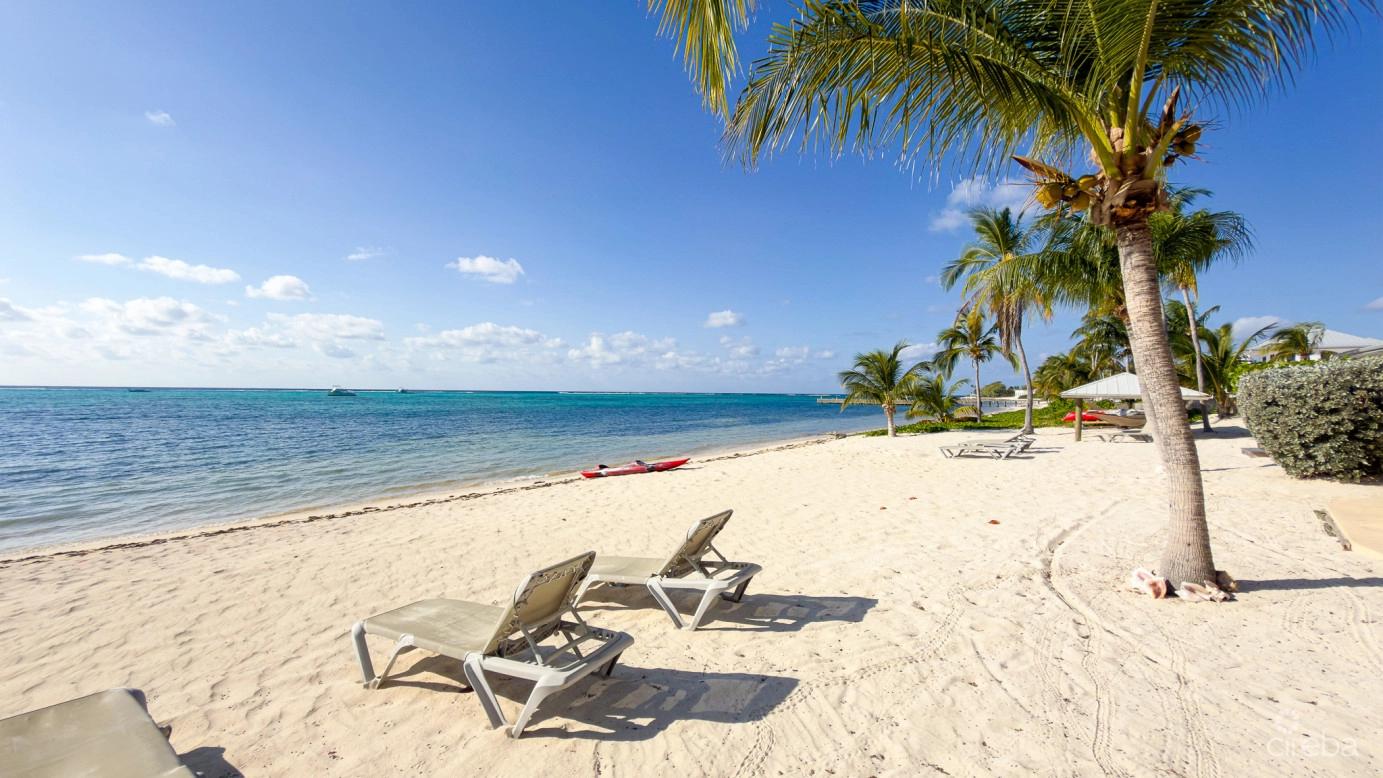 Beachfront Condo The Club Little Cayman — photo 3