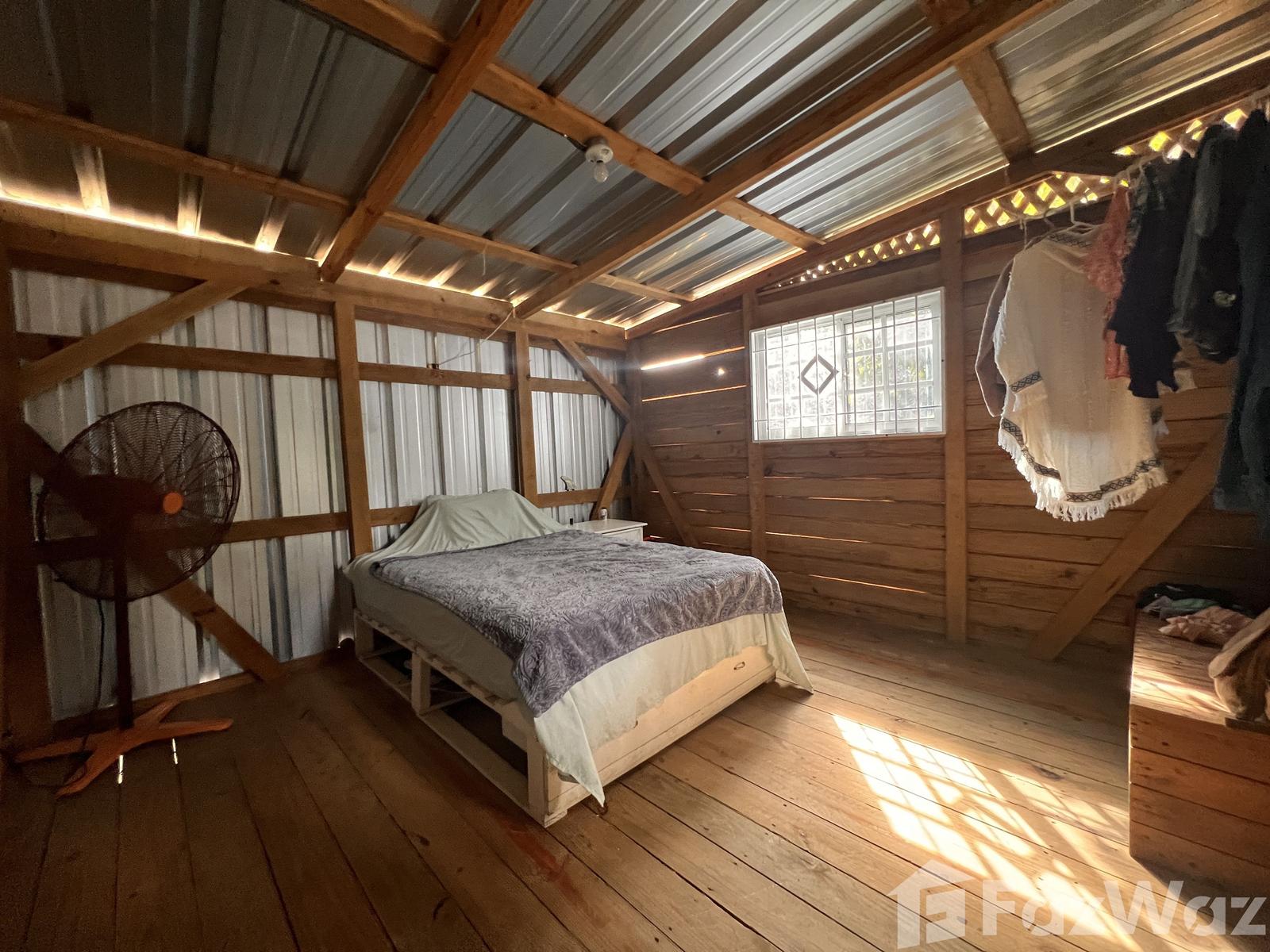 Eco & Lush Tropical Tiny House in Playa Encuentro — photo 3
