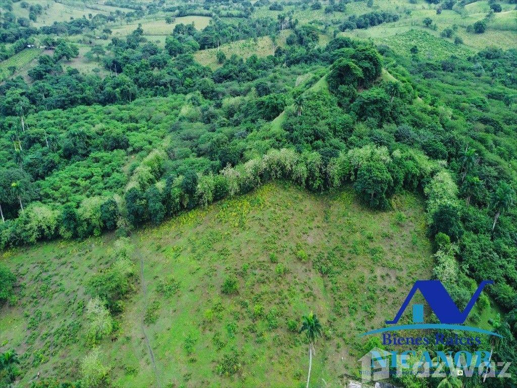 2,300 tara farm for sale — photo 3
