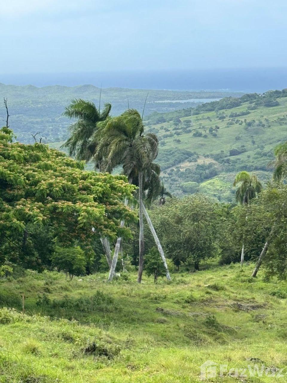 300 SqM Land Plot in San Felipe De Puerto Plata, Dominican Republic — photo 4