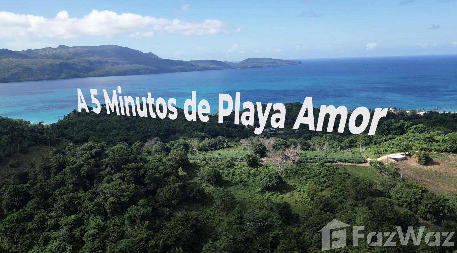 58,000 SqM Land Plot for Sale in Las Terrenas — photo 4