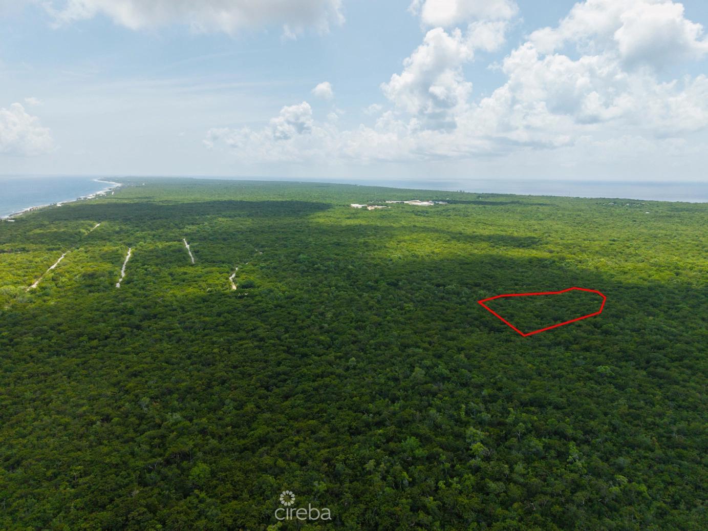 2.5 Acres - Cayman Brac Bluff Land — photo 5