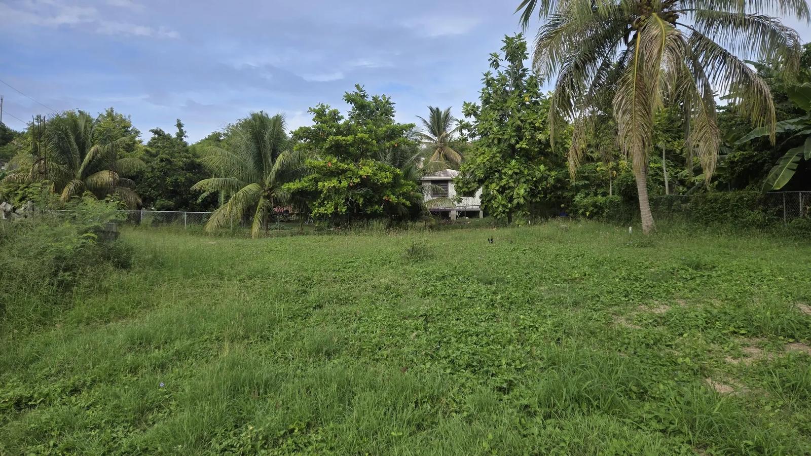 0.38 Acre Homesite in St. Croix — photo 4