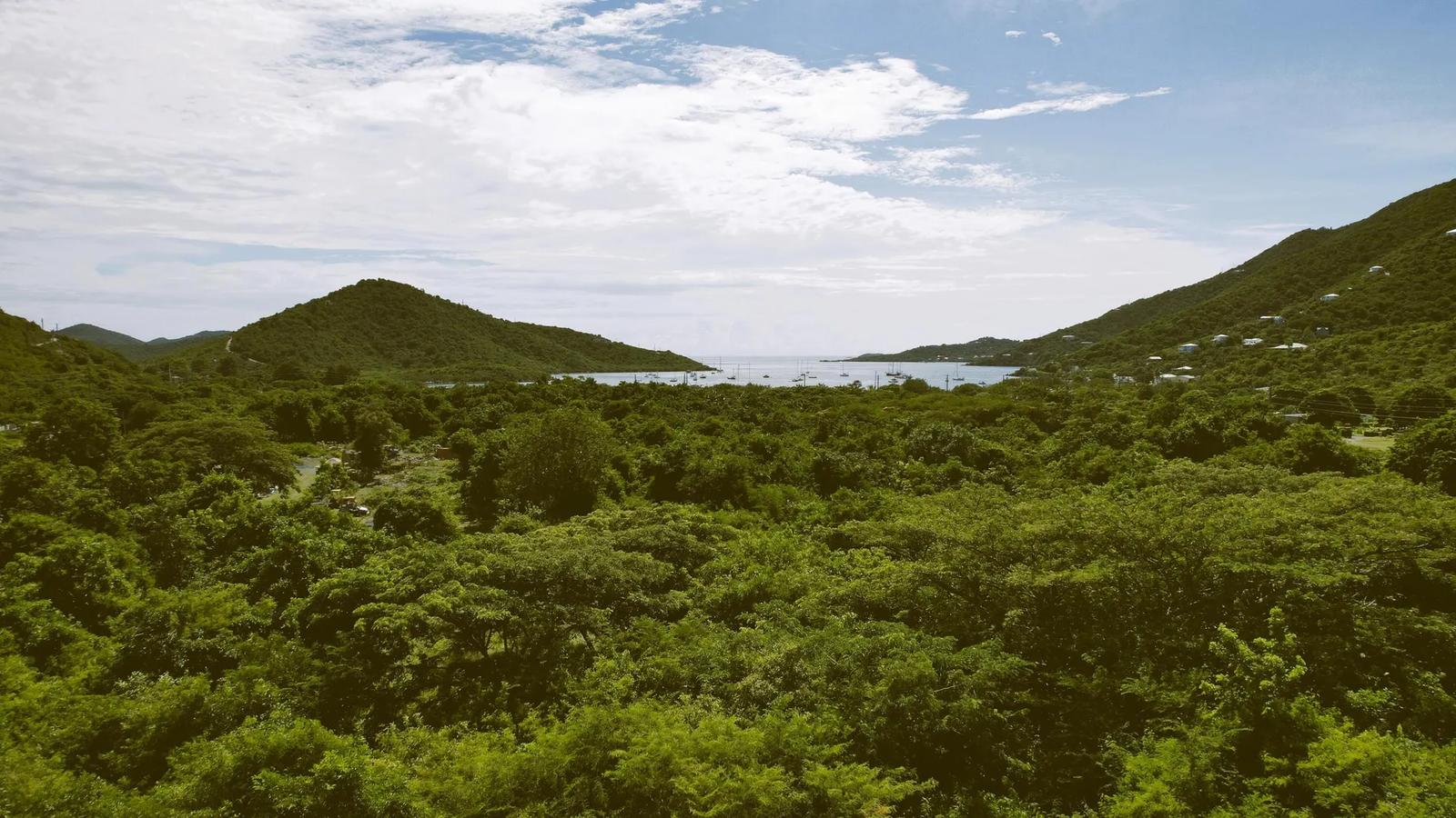 11.45 Acre Development Lot in Coral Bay, St. John — photo 5