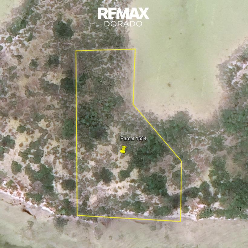 PRIME Beachfront Lot - 1.54 ACRES Sarteneja — photo 4