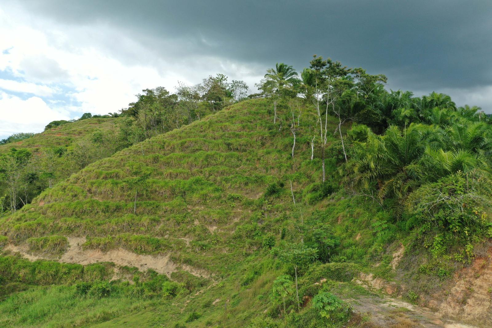 286 Acres of Land for Sale, Naranjito, Puntarenas, Costa Rica — photo 4
