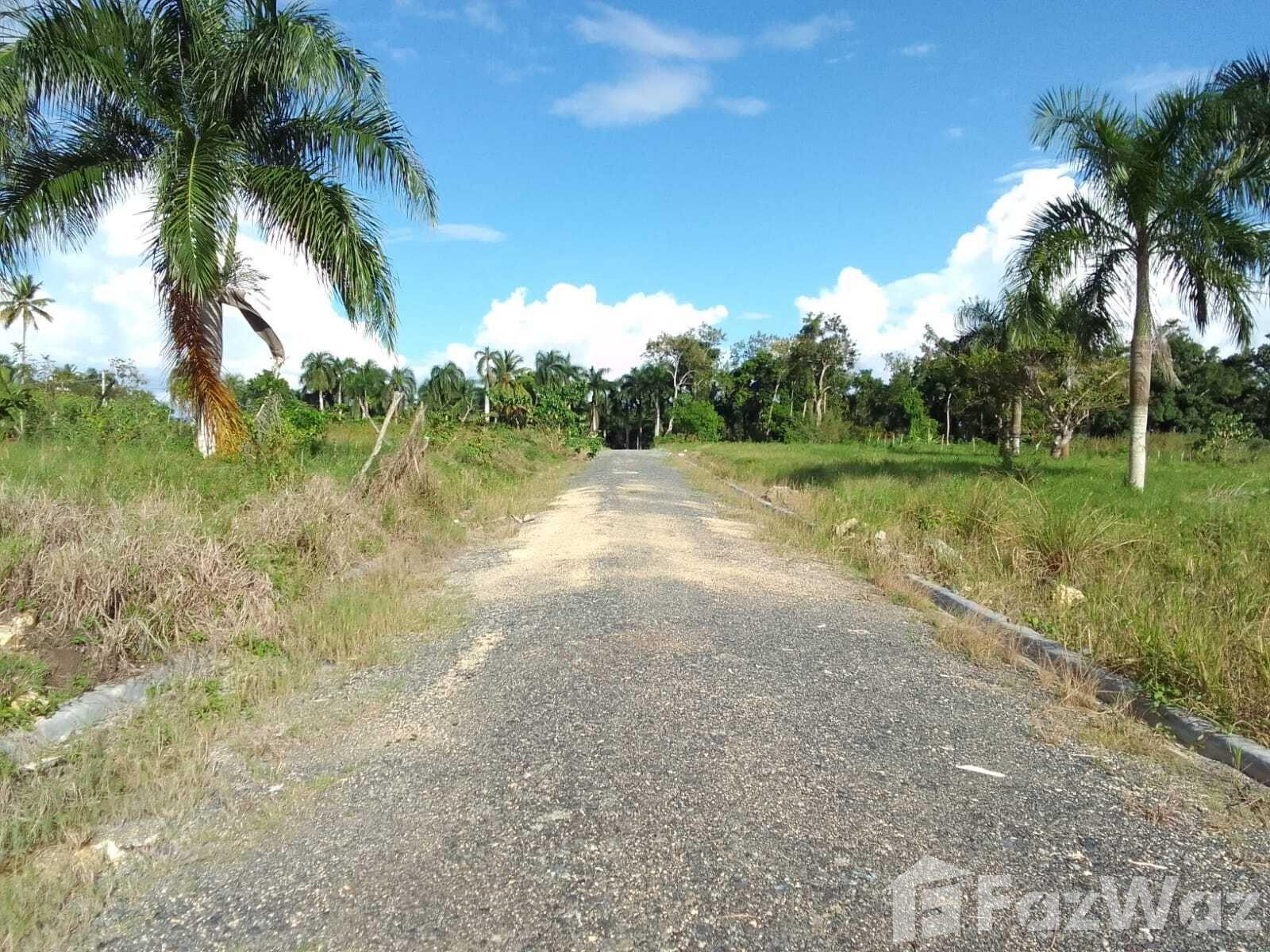 Land for Sale in Carr. La Victoria — photo 4