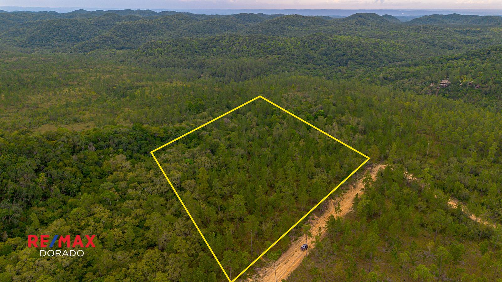 10.22 Acres of Mountain Pine Paradise – Mountain Pine Ridge, Belize — photo 2