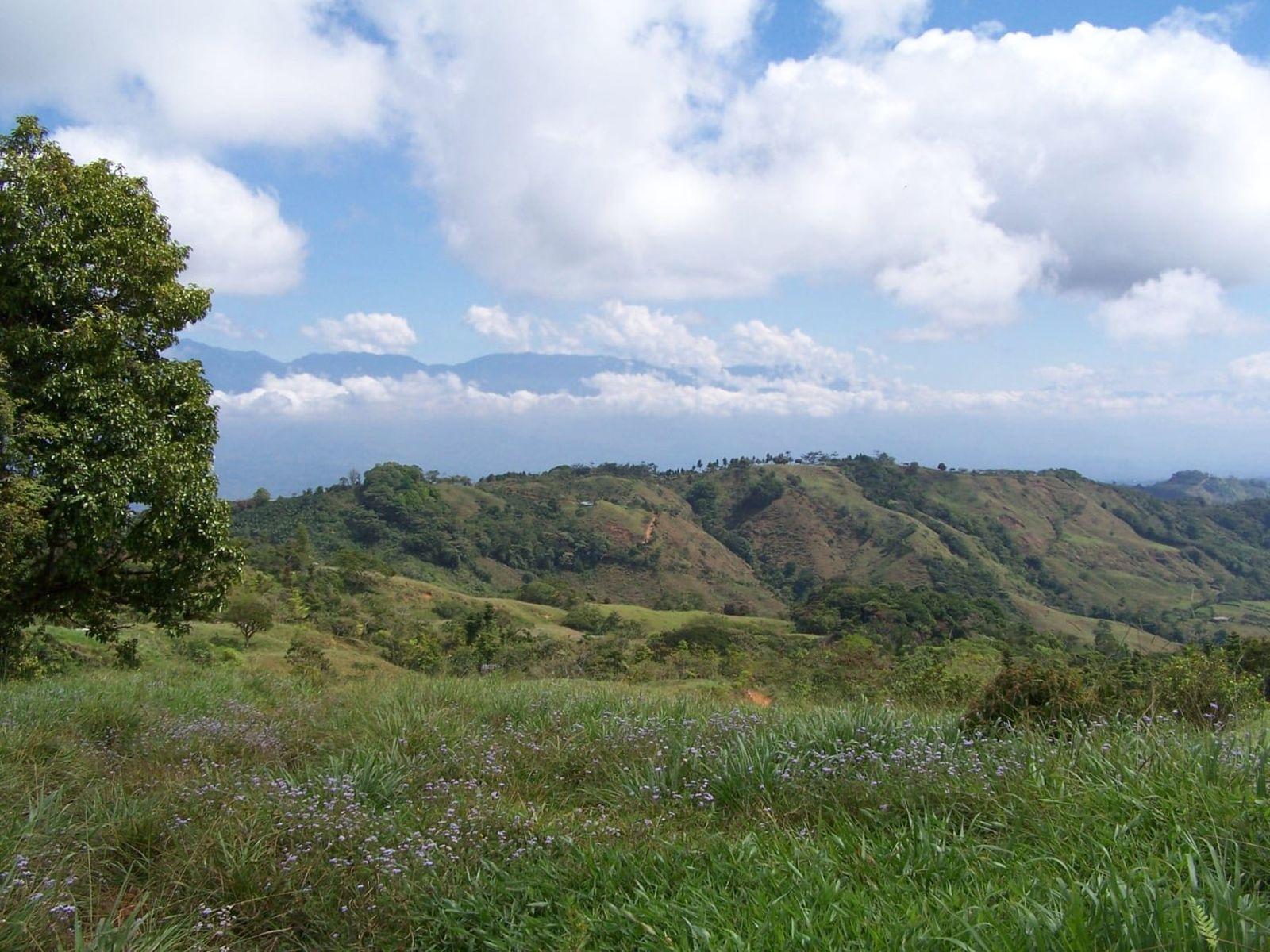 79 Acres of Farm Land for Sale, Uvita, Puntarenas, Costa Rica — photo 4
