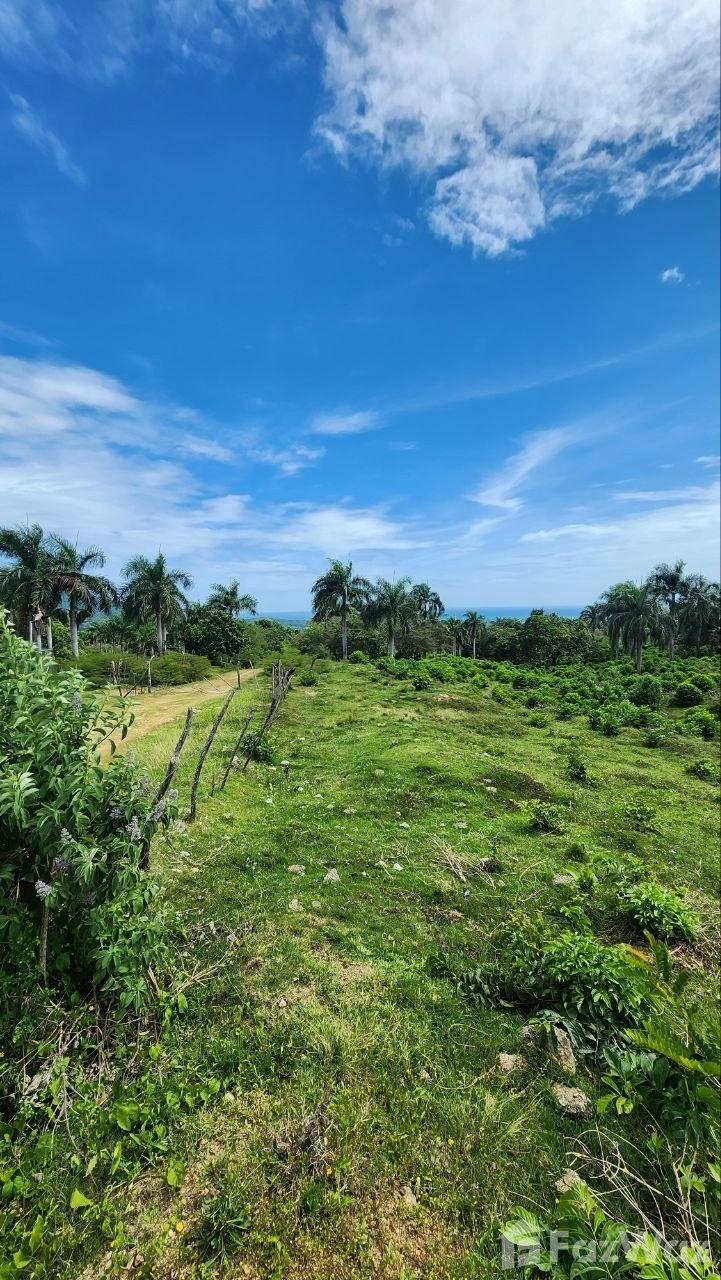 10,000 SqM Land Plot for Sale in San Felipe De Puerto Plata — photo 3
