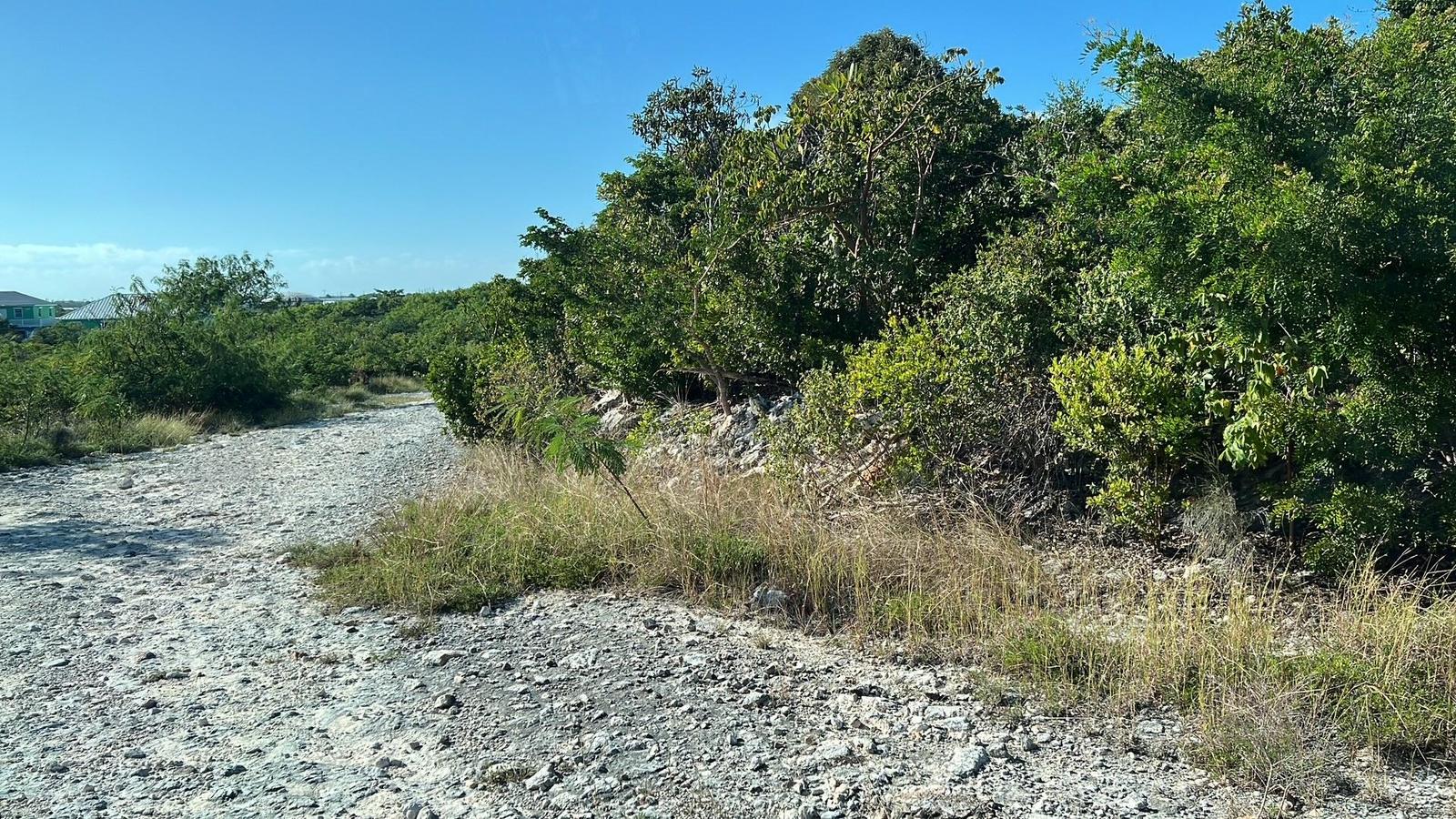 1.4-Acre Hilltop Investment Opportunity — photo 1