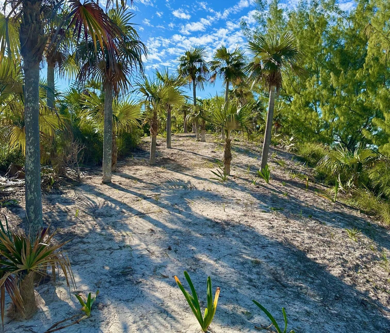 Peppercorn Estate on Banks Road, Eleuthera, The Bahamas — photo 5