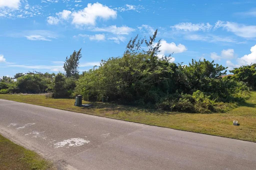 10,000+ sq. ft. homesite in Palm Cay, New Providence — photo 2