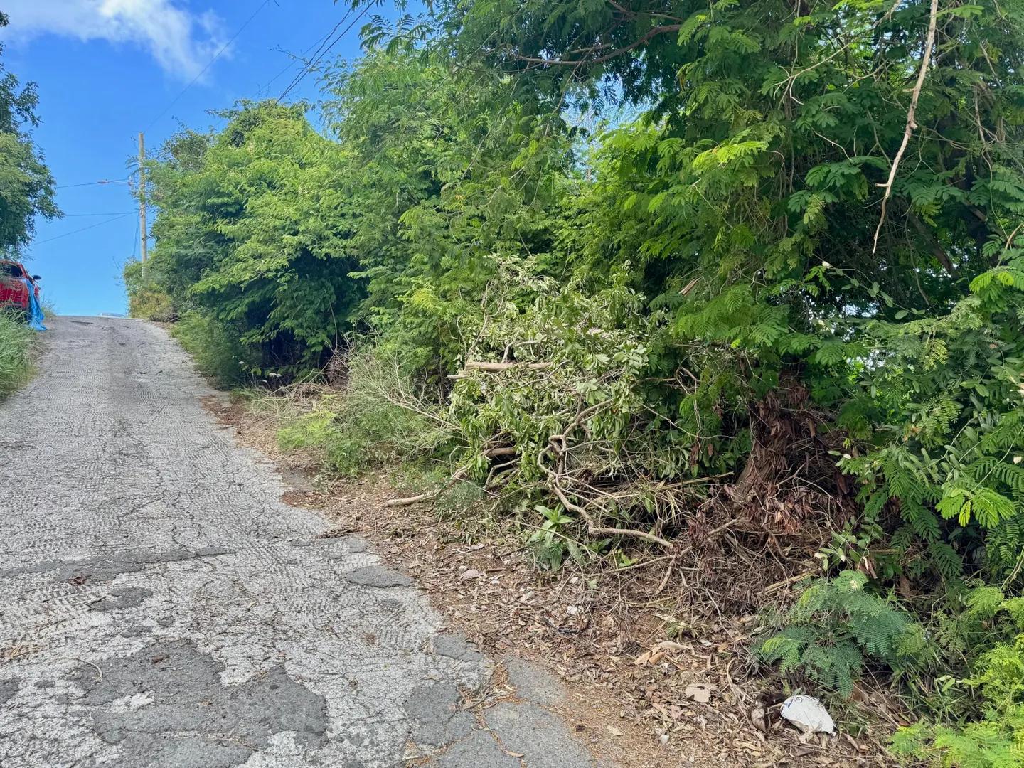 0.33 Acre Homesite Lot in St. Thomas — photo 4