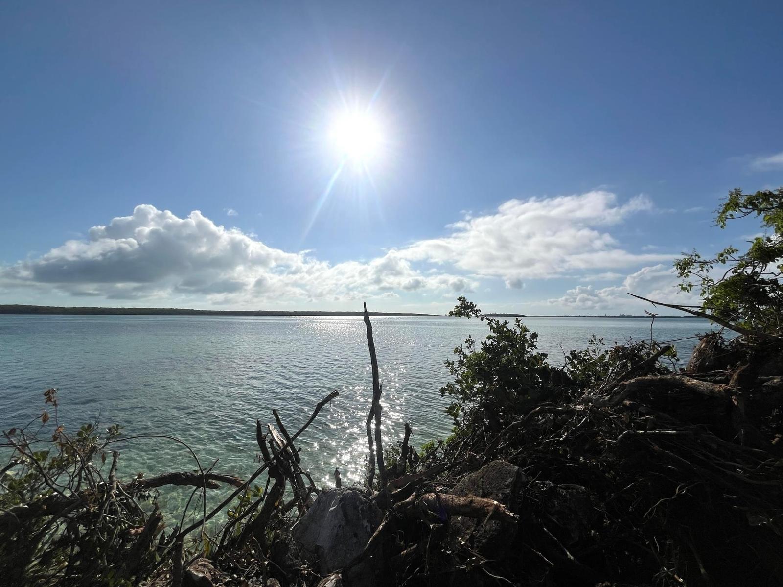 GREAT HARBOUR CAY — photo 3
