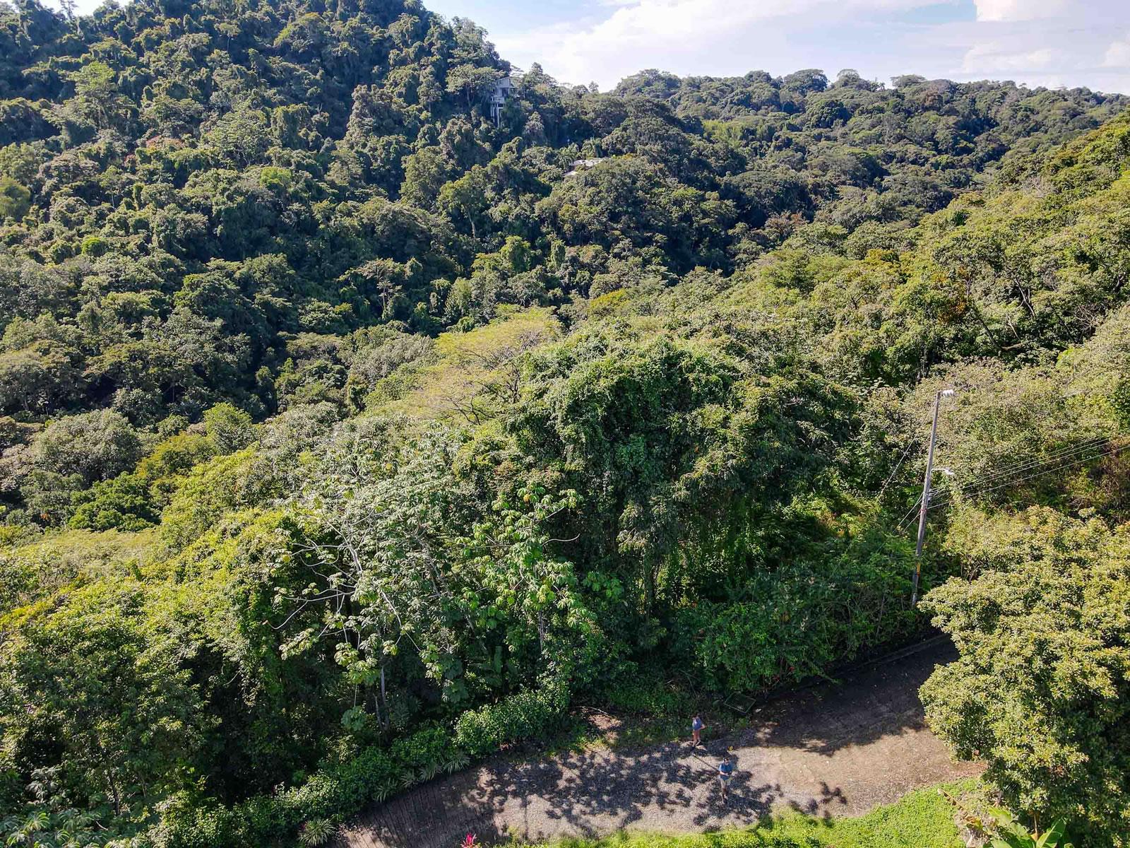 6,651 Sq M Lot for Sale, El Salto, Manuel Antonio, Puntarenas, Costa Rica — photo 2