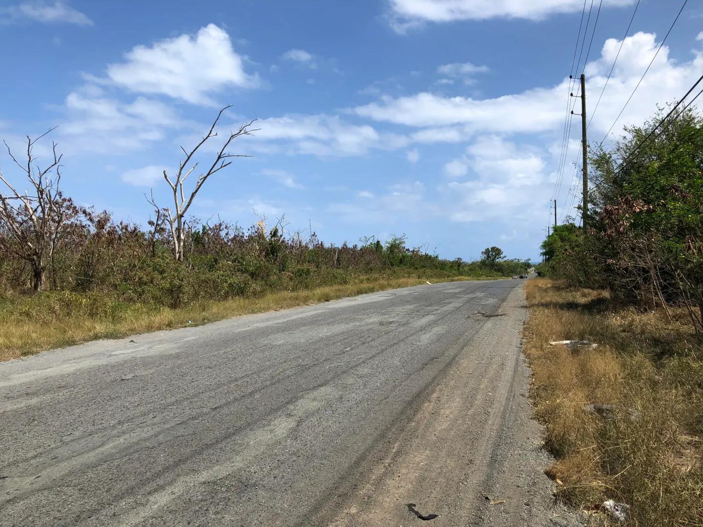 15 Acre Unimproved lot — photo 3