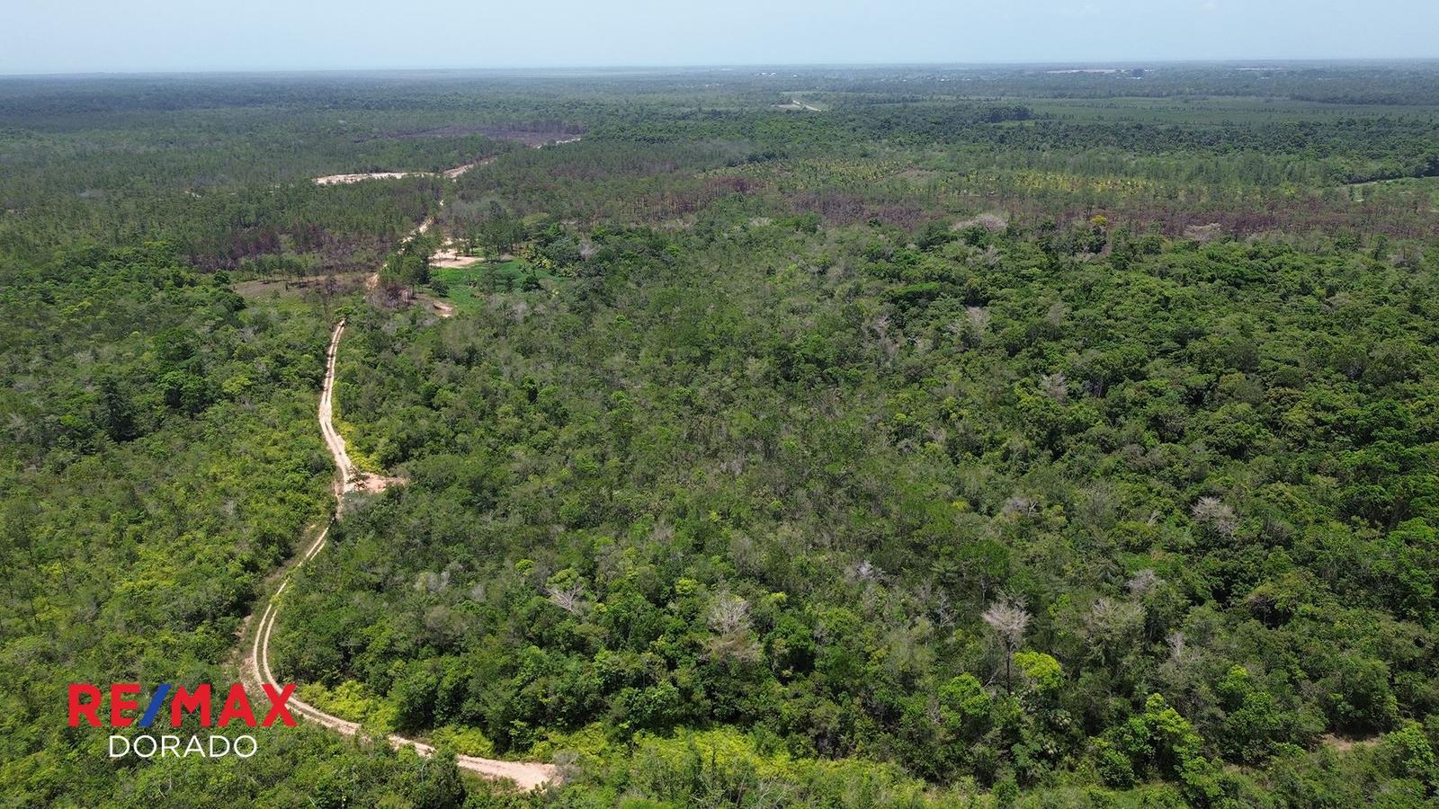 Prime 19.16-Acre Property for Sale — photo 4