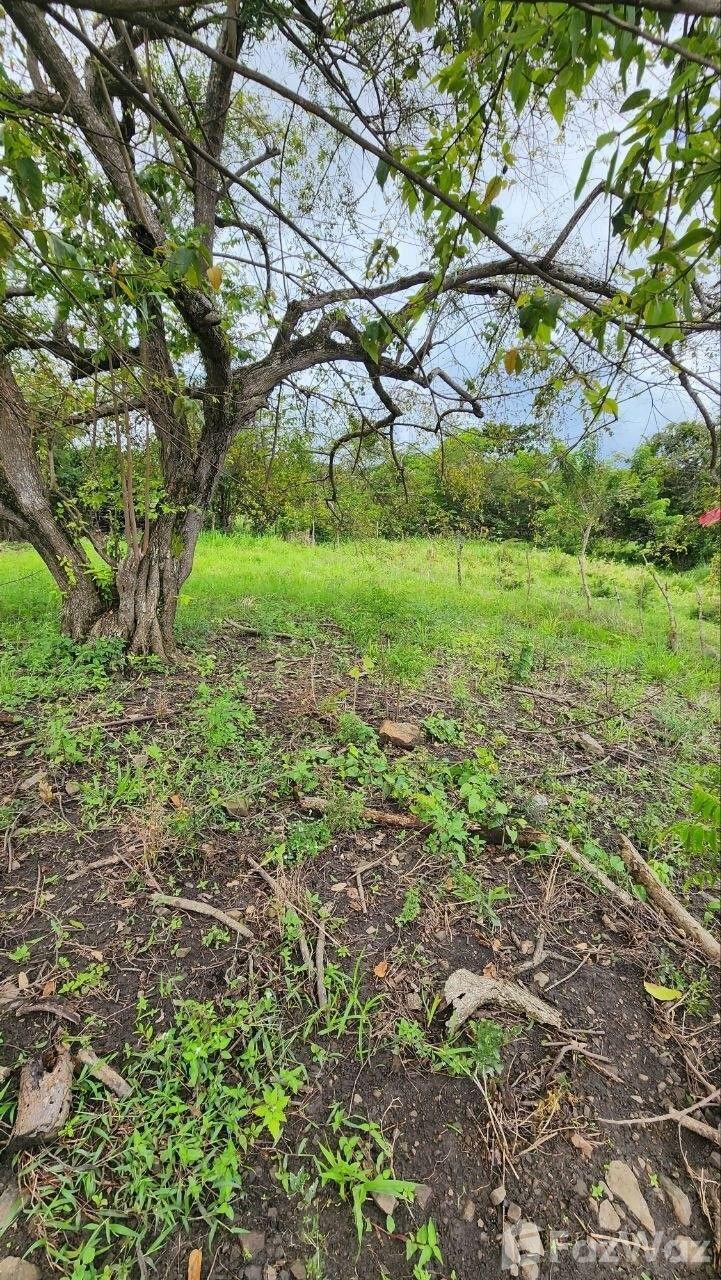 🌊🏞️ Live Between the Sea and the Mountains in Puerto Plata 🏞️🌊 — photo 4