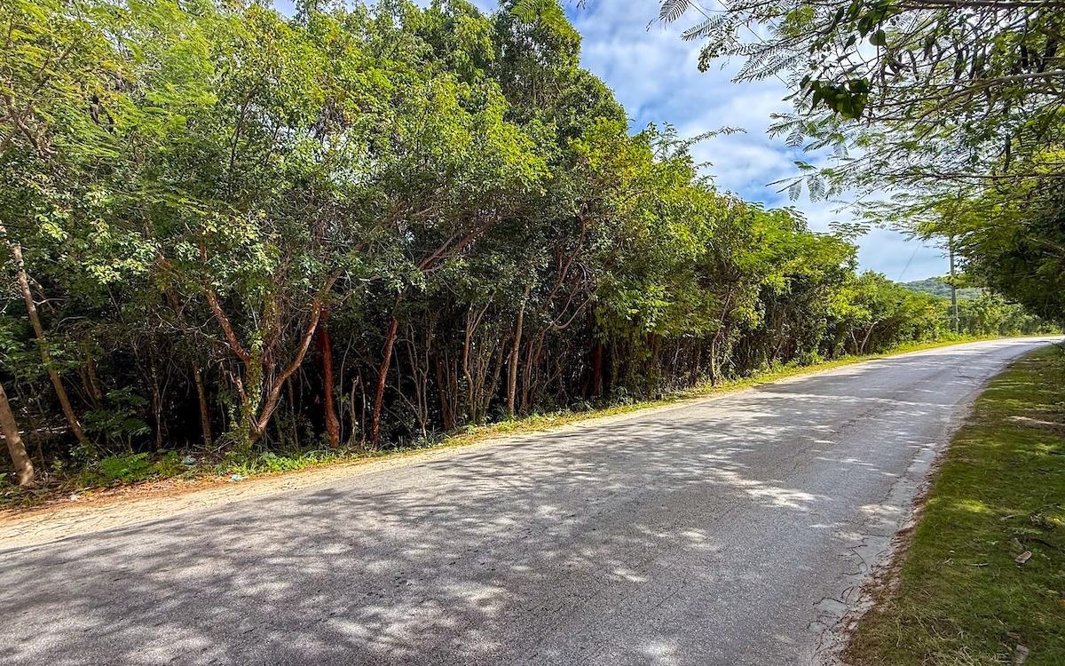Gregory Town Land Lot — photo 4