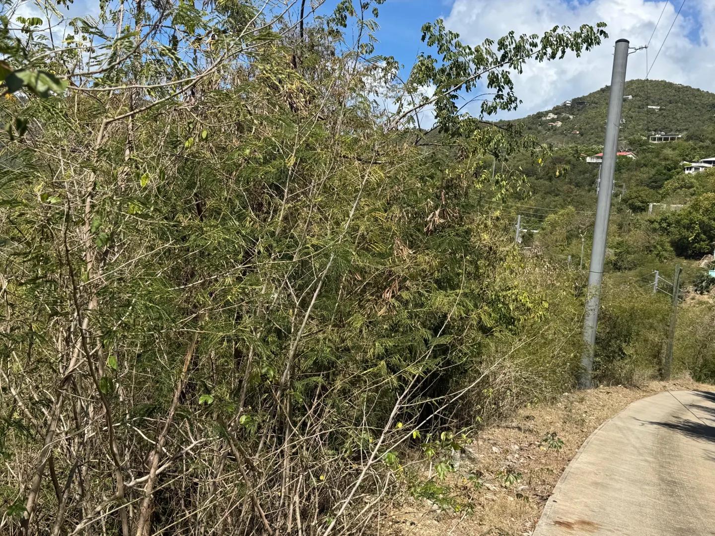 0.5 Acre Lot in St John Island — photo 5