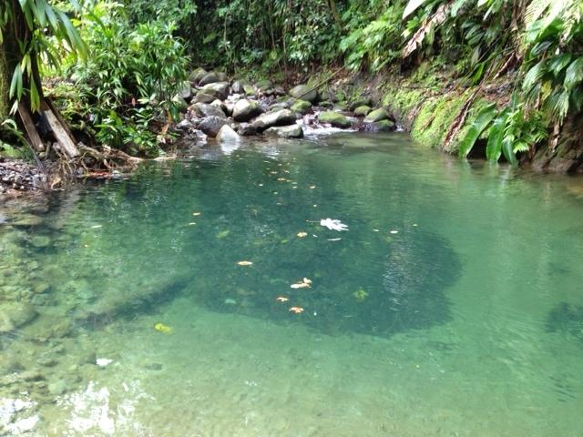 35 Acres of Land for Sale, Dominica — photo 3