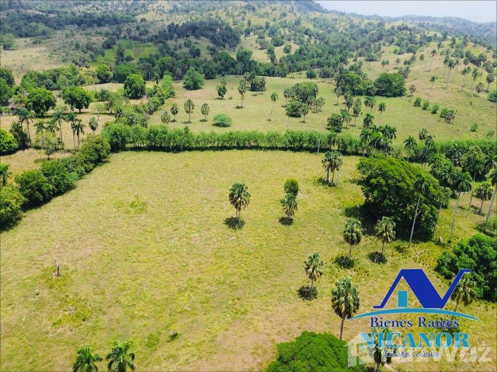 1,010 acre farm for sale in Imbert, Dominican Republic — photo 2