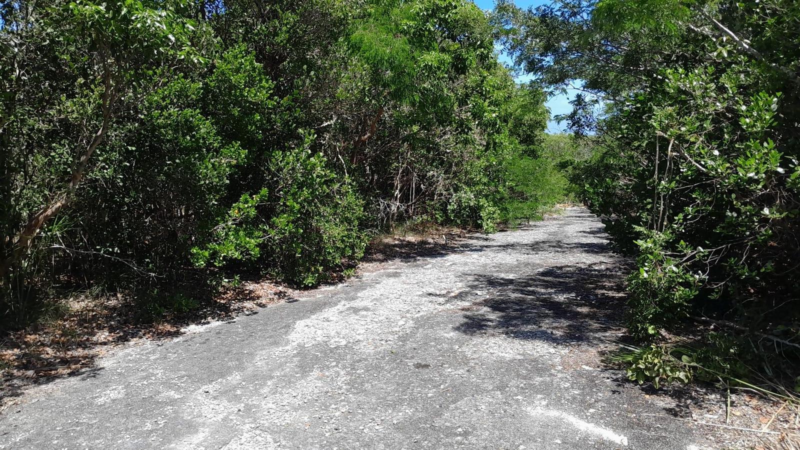 5347 BAHAMA SOUND 7E — photo 4