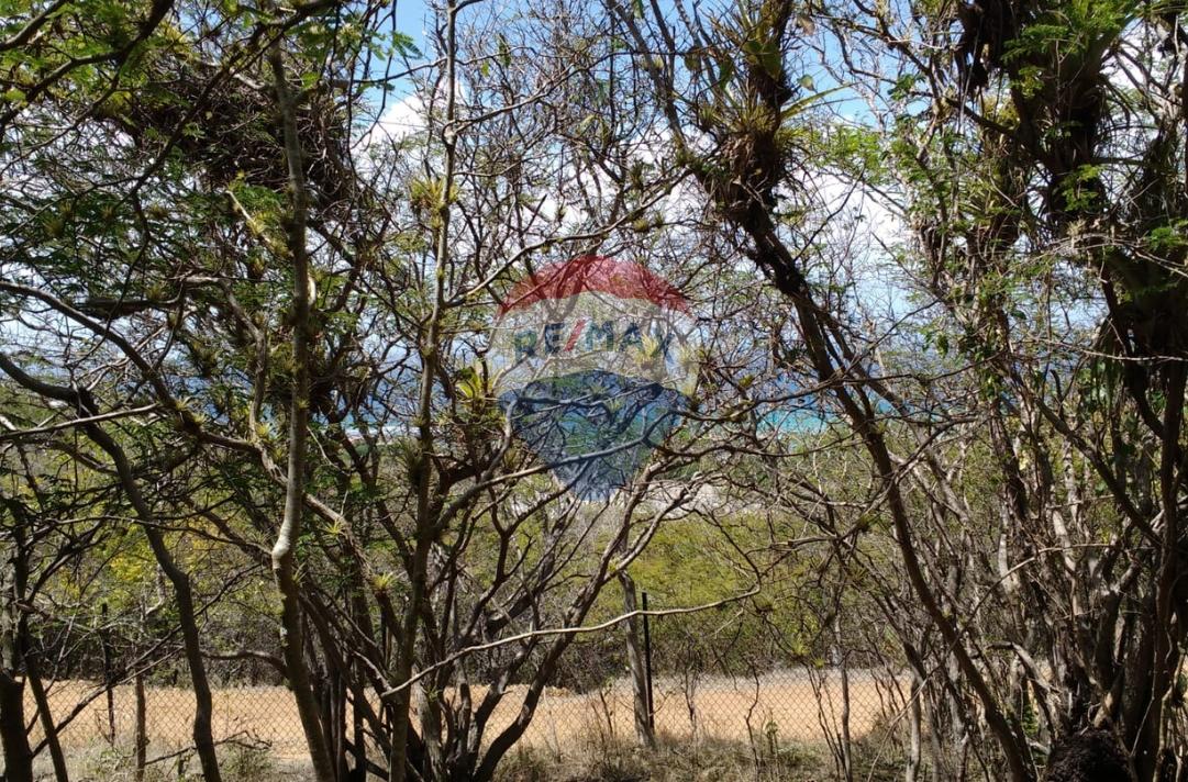 LOT #1 DONALDSON UNION ISLAND — photo 4