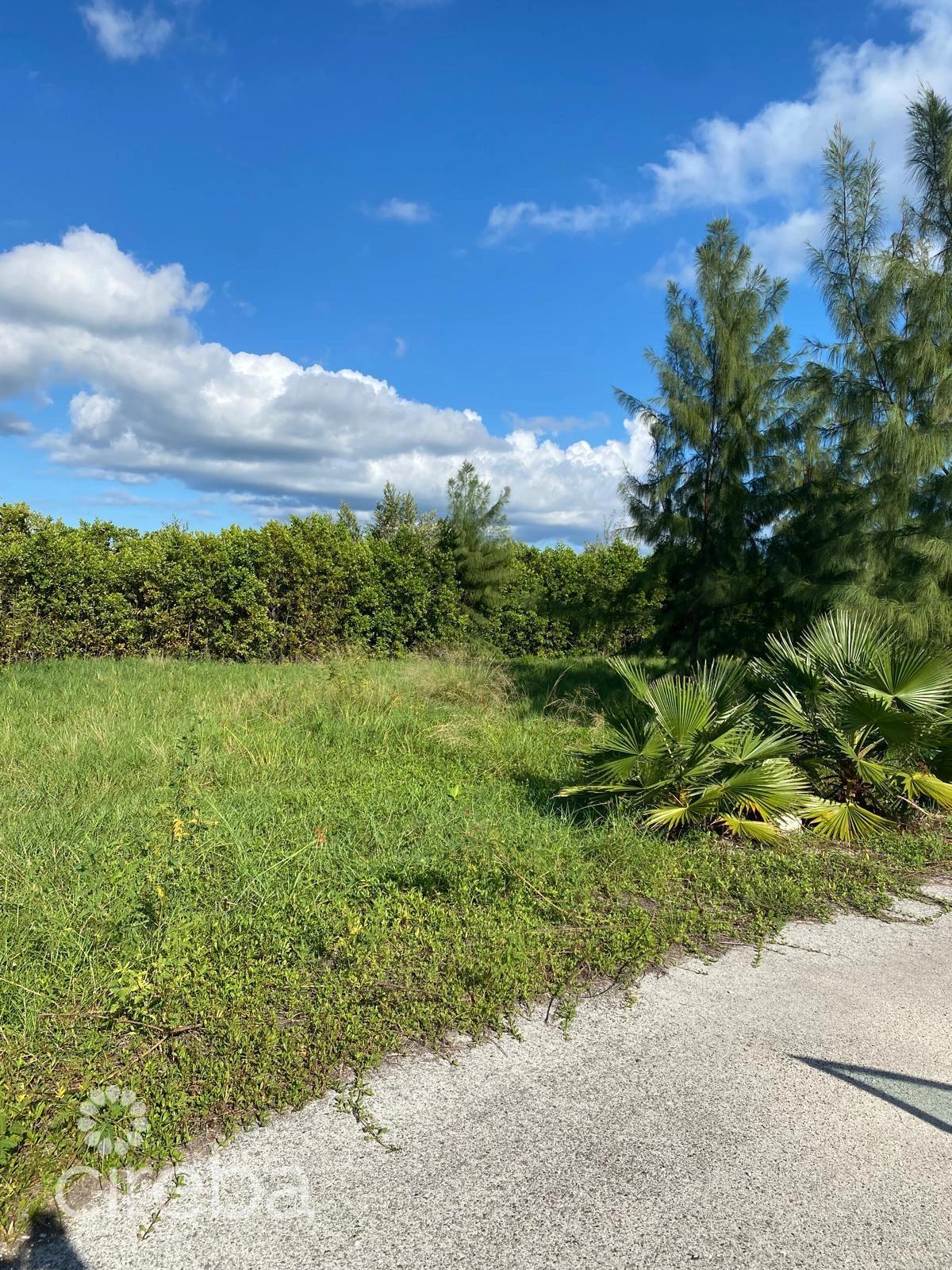 Pease Bay Lakes Lakefront Lot — photo 2